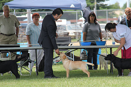 labrador quebec