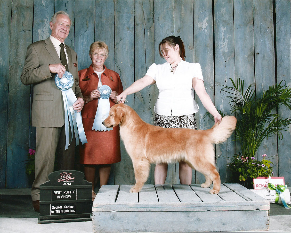 best puppy in show tetford-mines